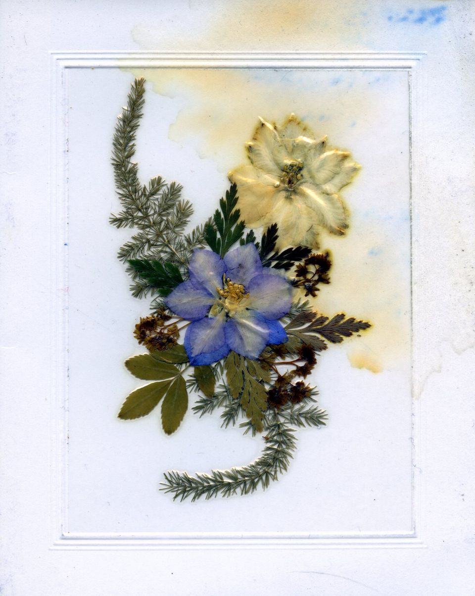 Front of the card from John and Margaret Gravely