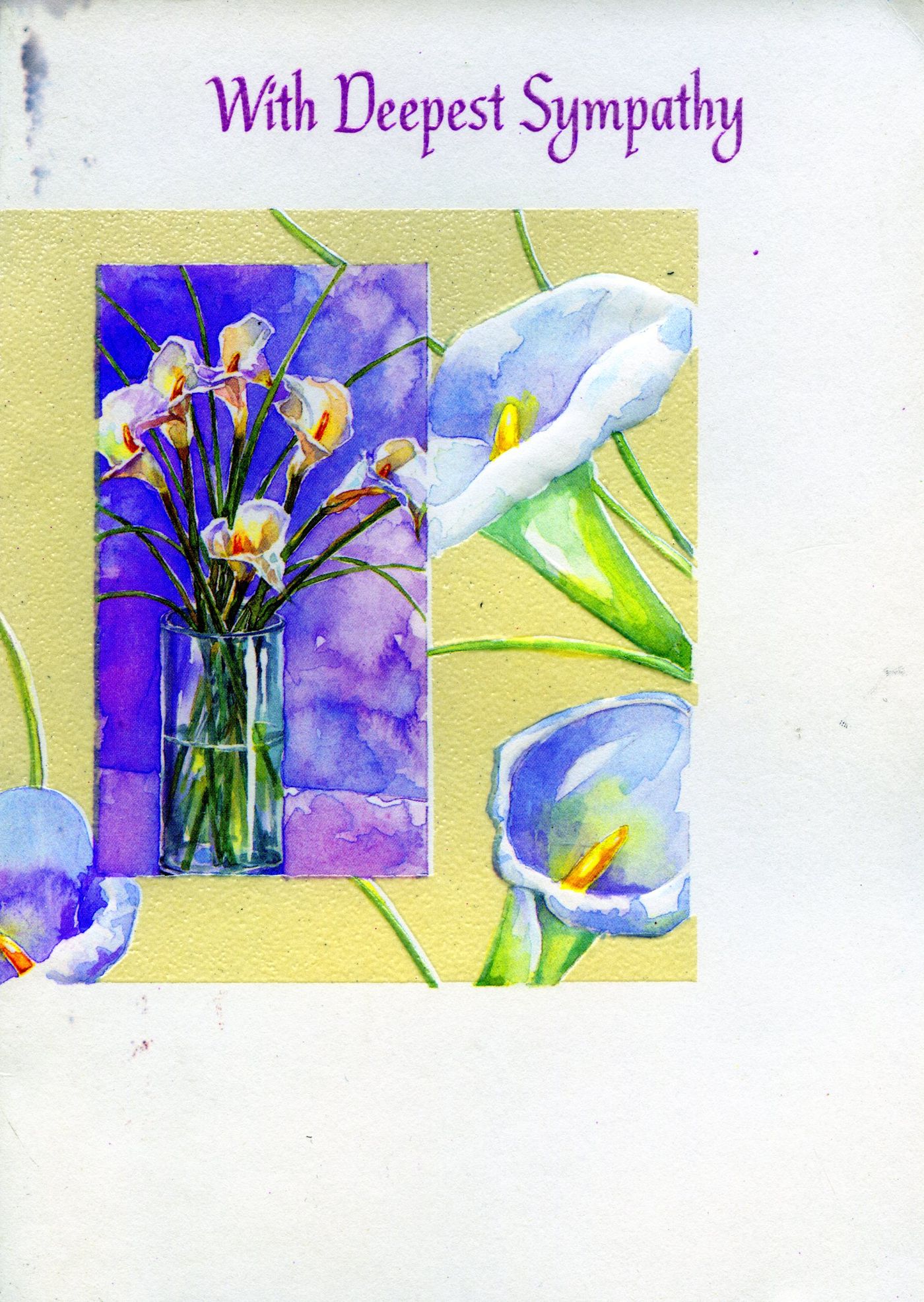Front of the card from Pauline and family