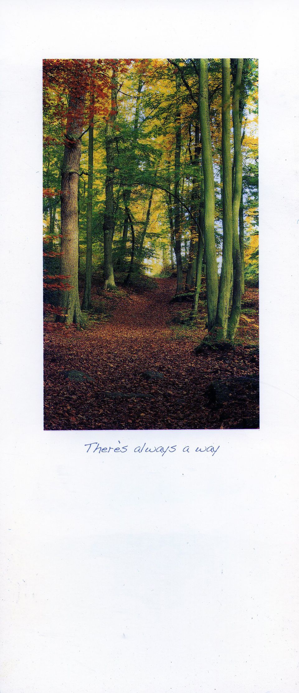 Front of the card from Alison - Priory Street Nursery