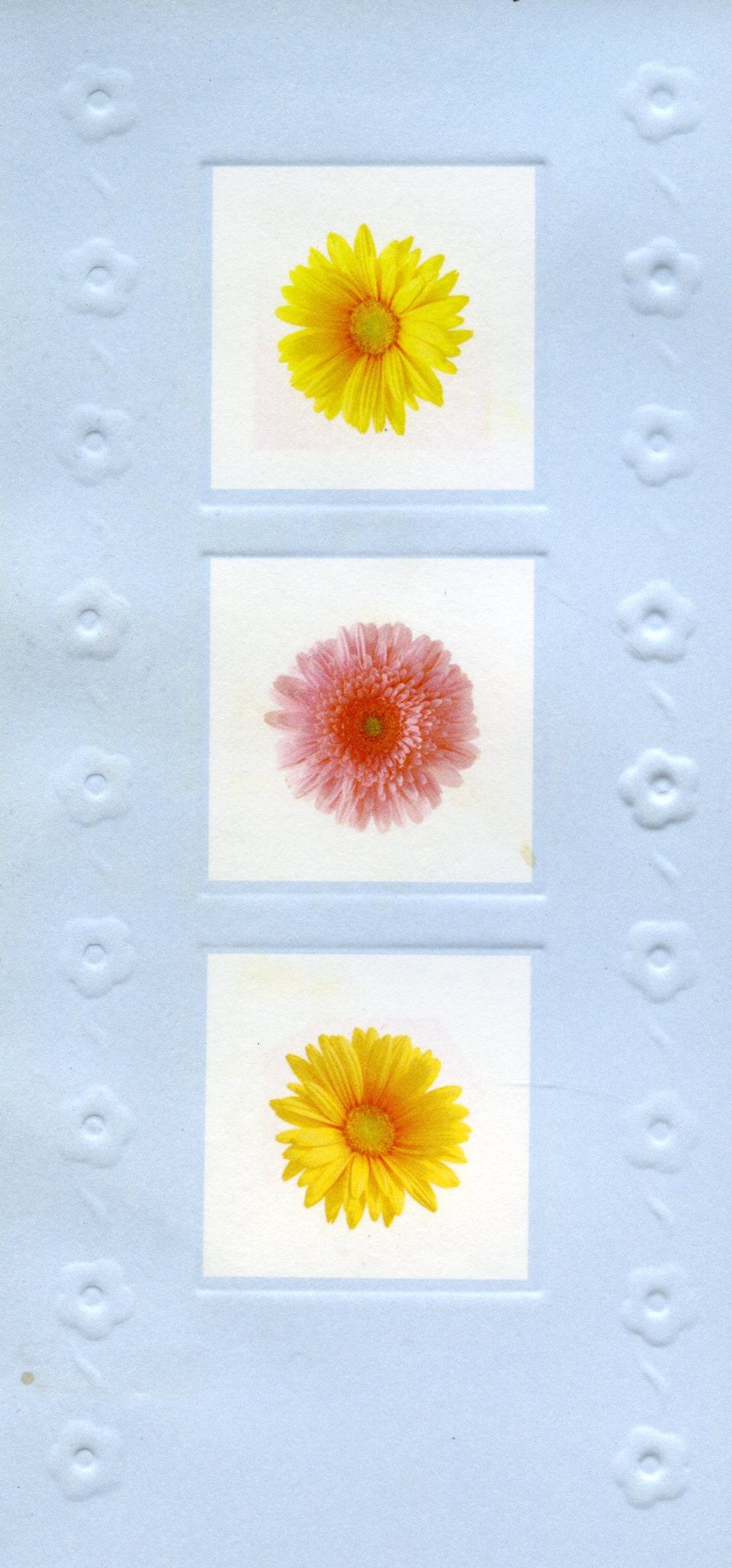 Front of the card from Lynda