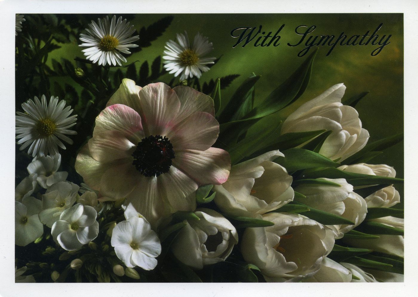 Front of the card from Anne O'Hanlon