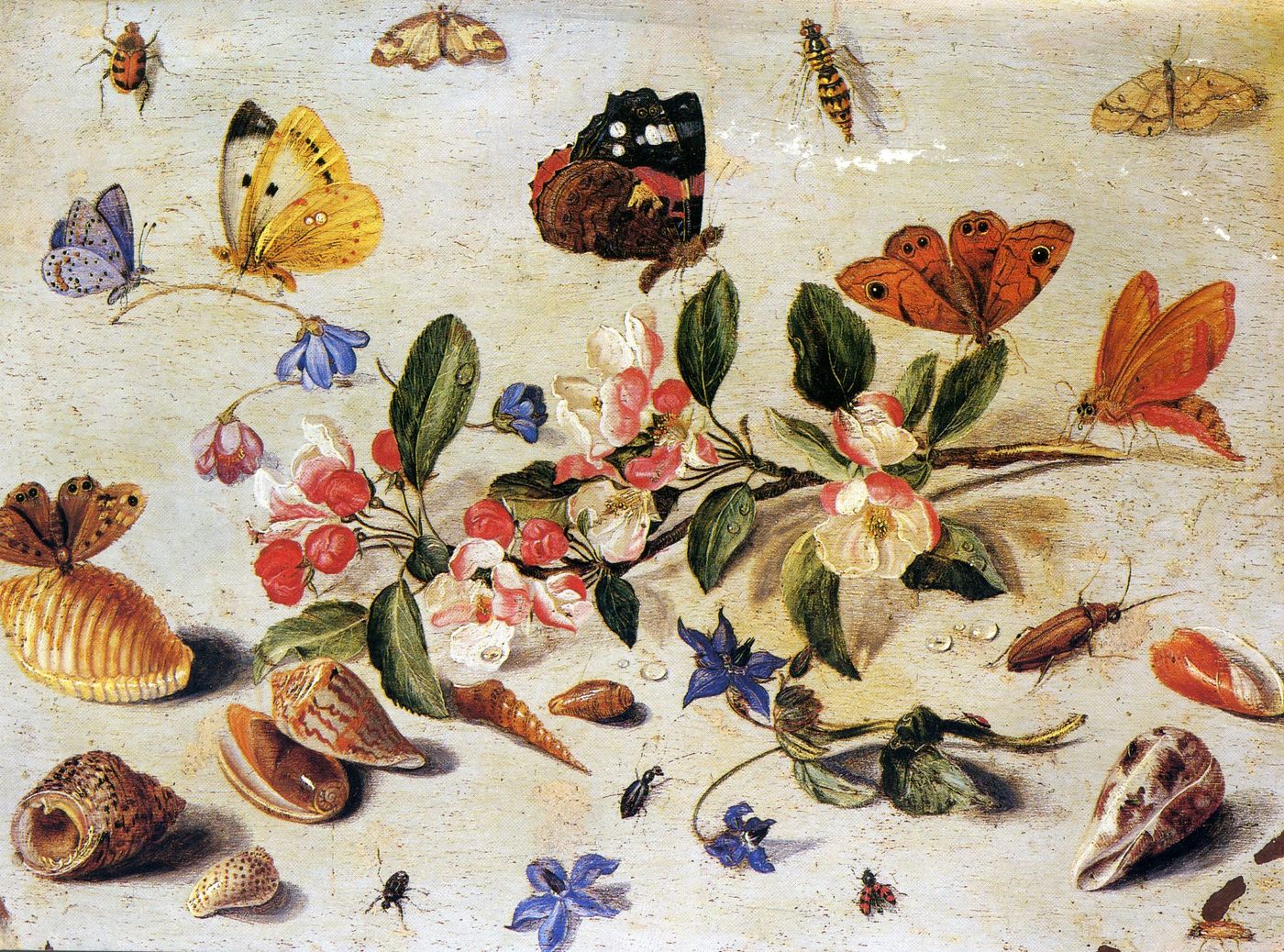 Front of the card from Rowland for Rose
