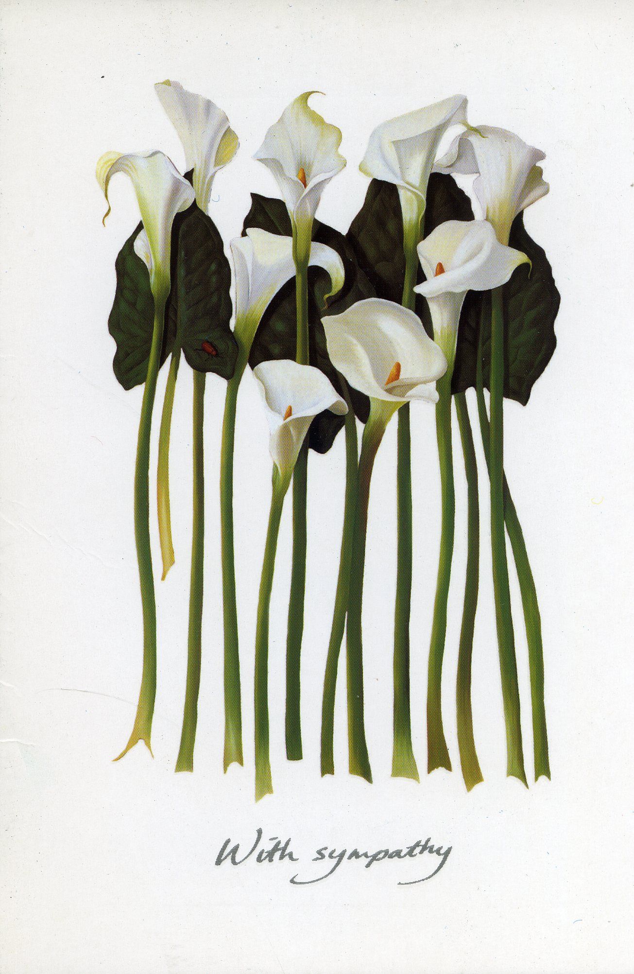 Front of the card from Gordon