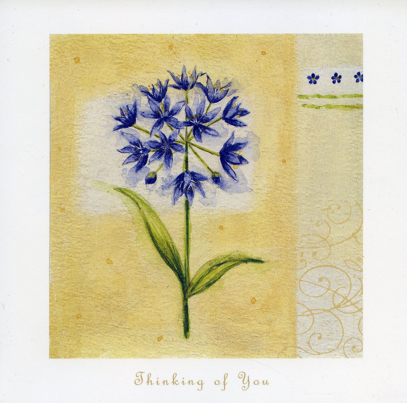 Front of the card from Janet Rowntree