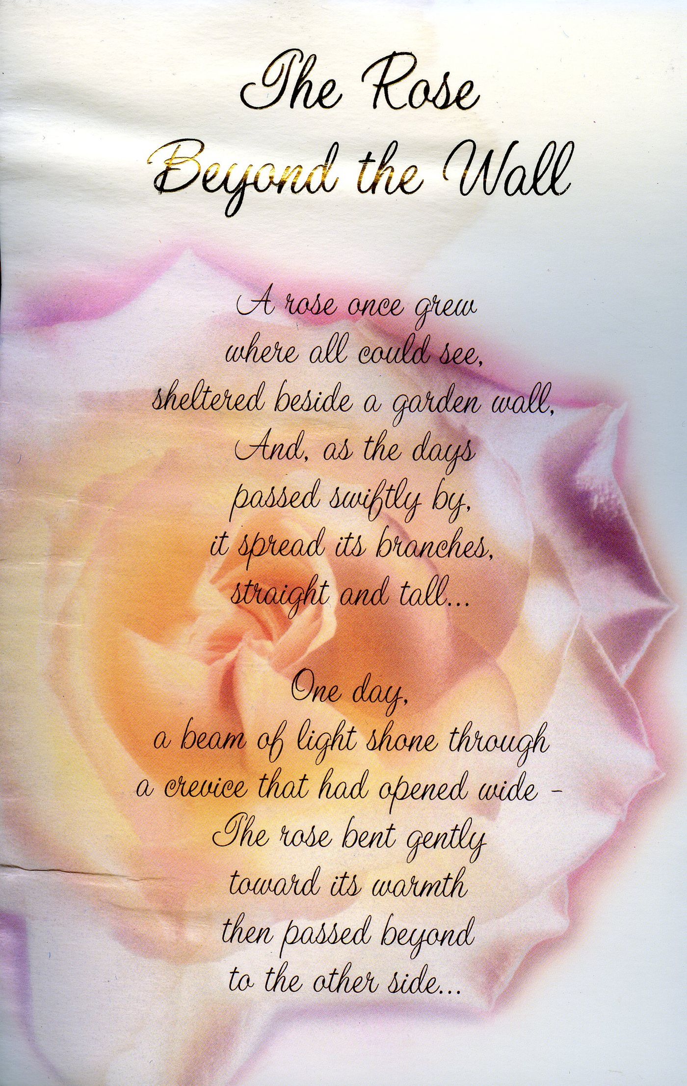Front of the card from Catherine, Bill, Yvonne and Michelle Ledden