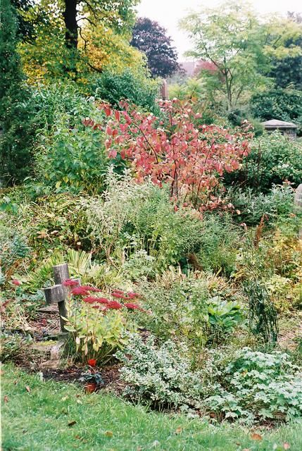 Cindy's Grave
