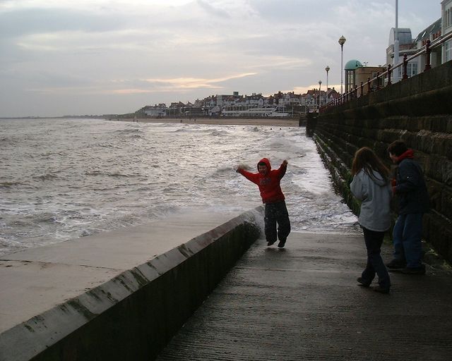 Needlework, Truck Driving, Seaside and Chinese