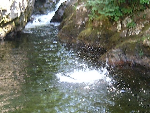 Wales, August 2005