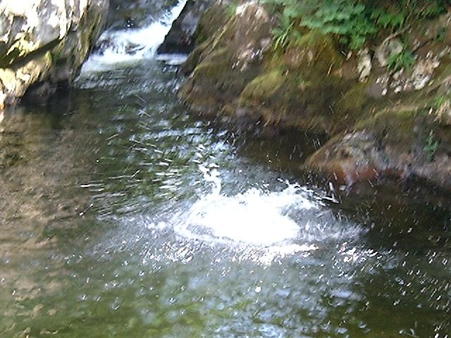 Wales, August 2005