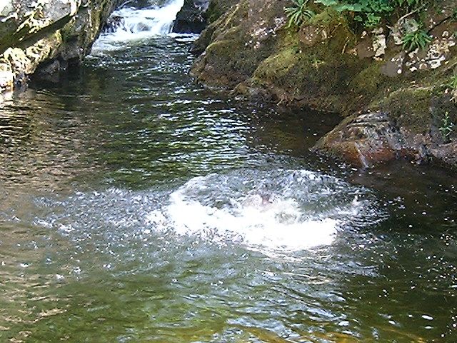 Wales, August 2005