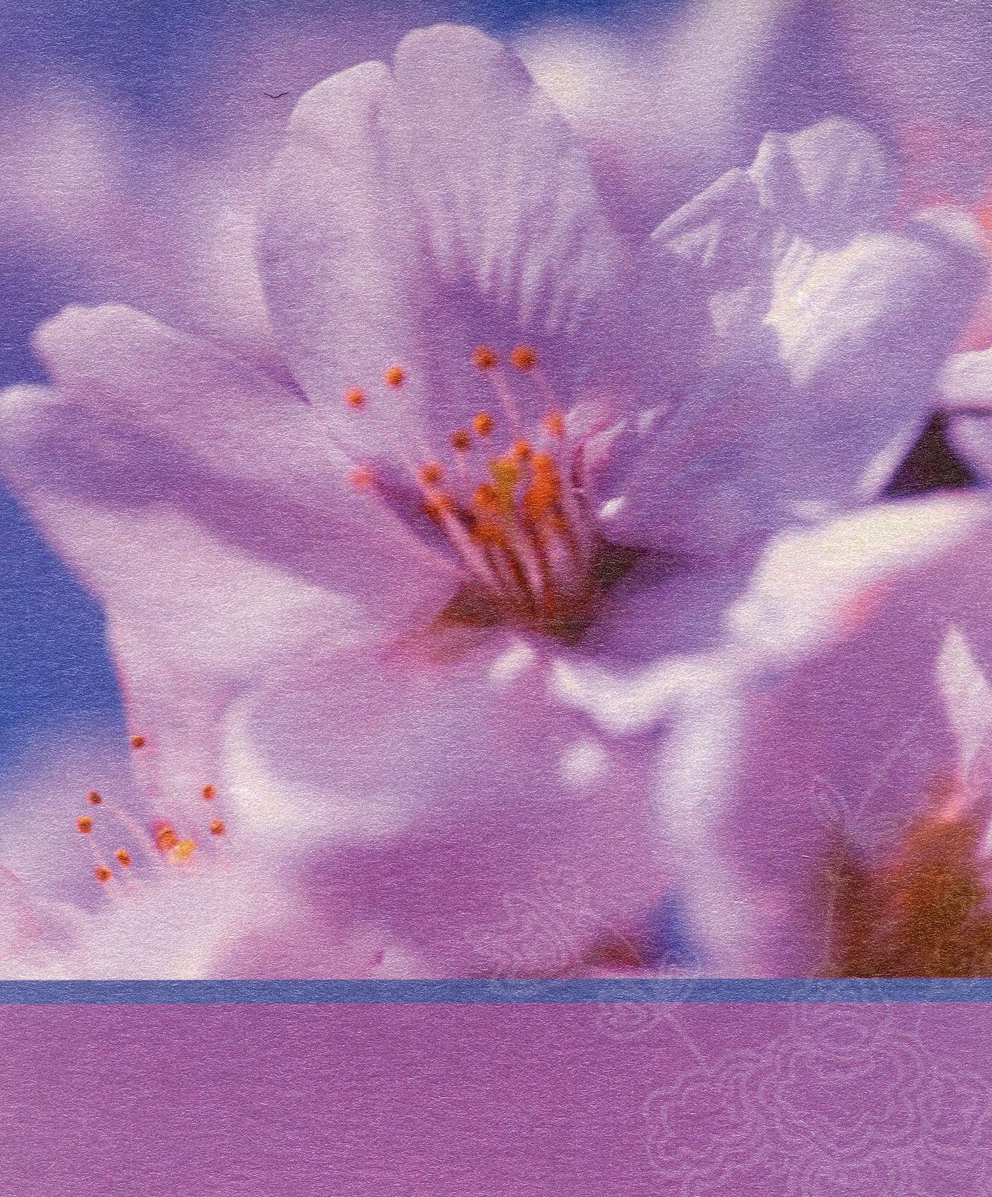 Front of the card from Louise, Russell, Joe and Ruth