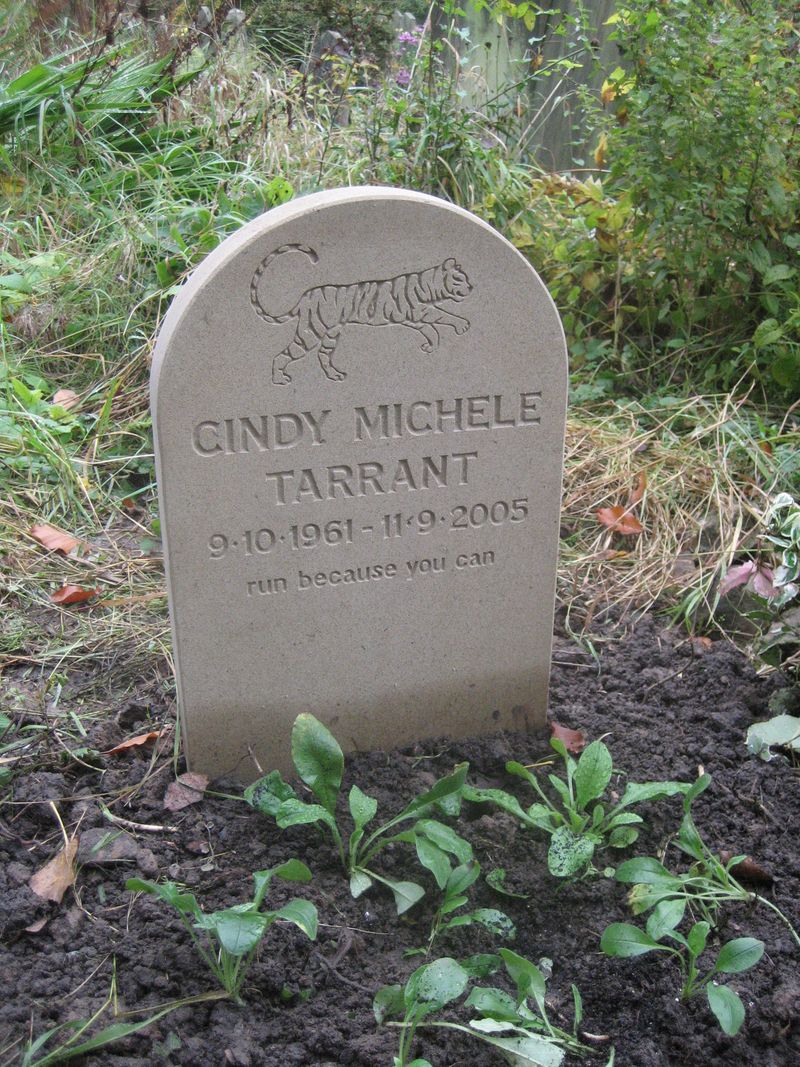Cindy's Gravestone