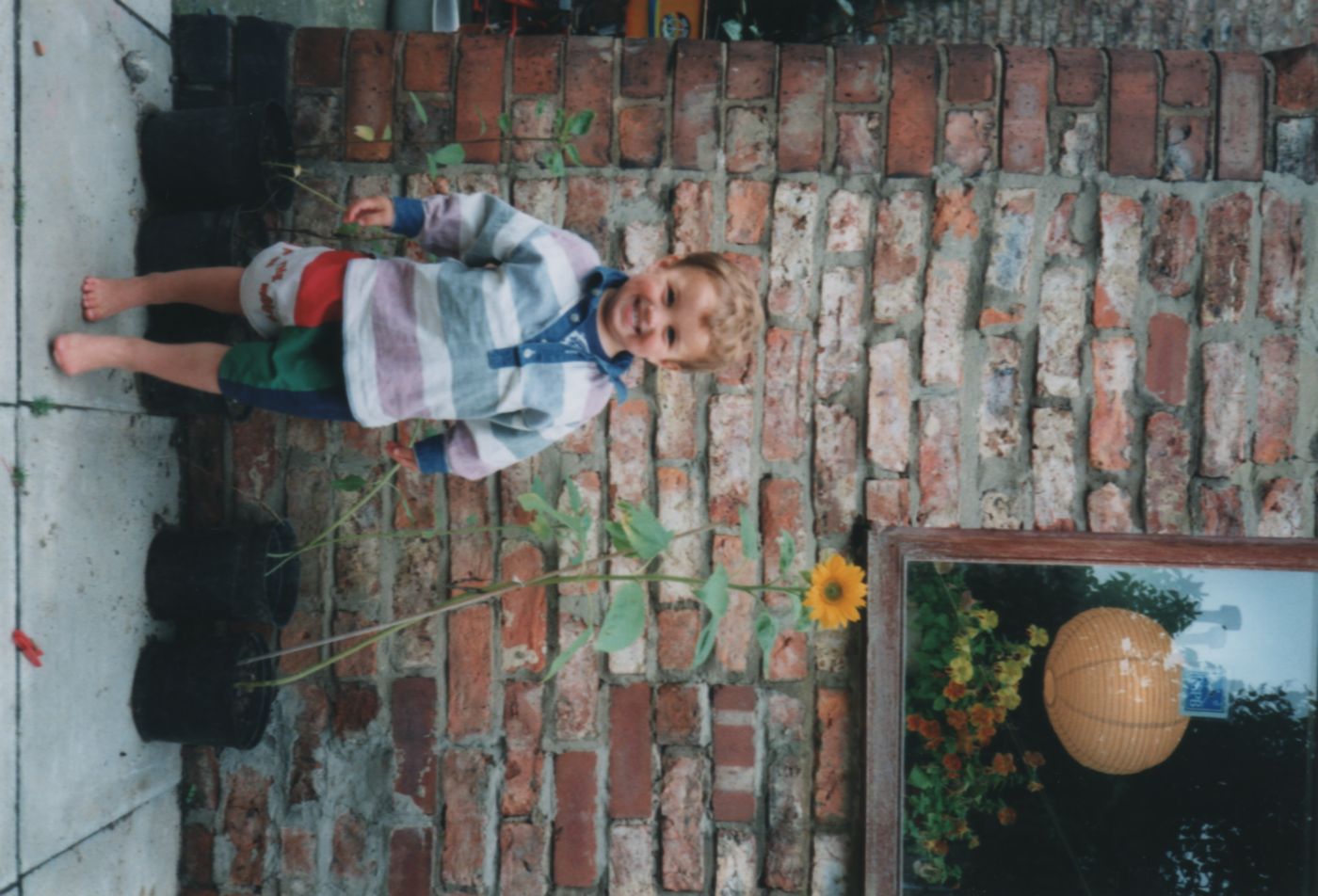 John with his sunflower