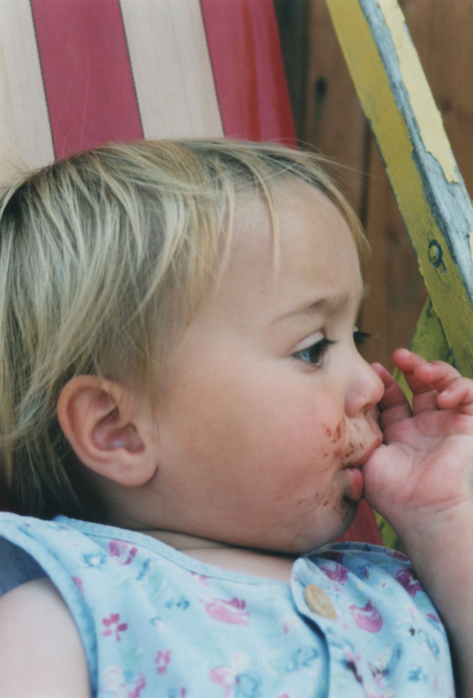 Rose with a chocolatey face